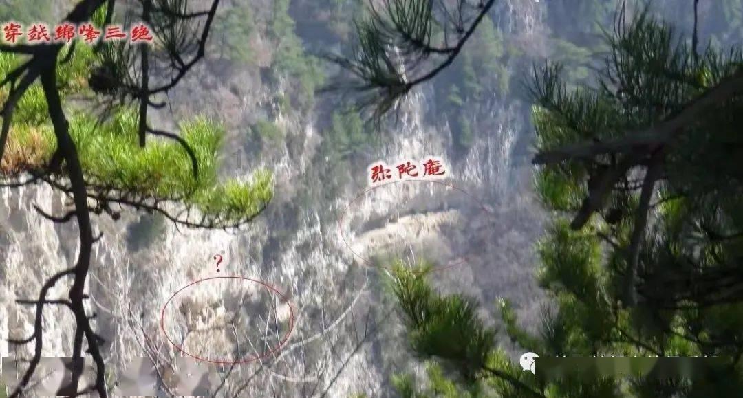维京海盗对战