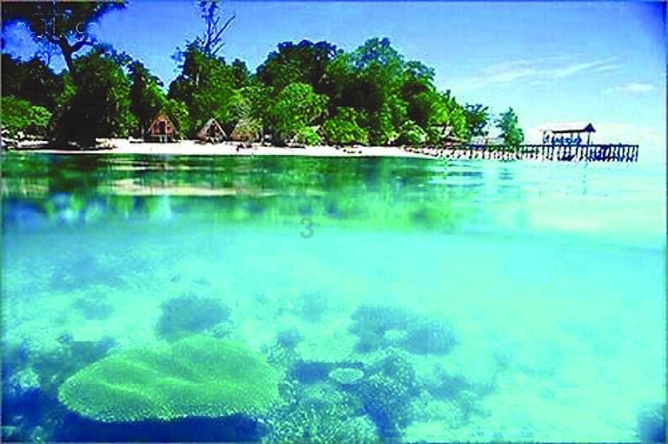 太湖湖心区首达Ⅲ类水标准,武进太湖治理的出圈密码